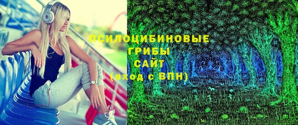 молекула духа Михайловск
