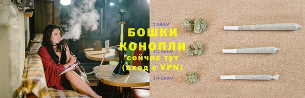 ГАЛЛЮЦИНОГЕННЫЕ ГРИБЫ Абдулино